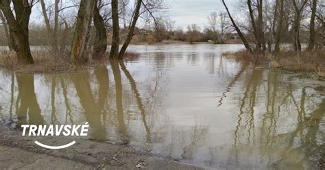 Ilustrácia znázorňujúca prepojenie lesov, vodných tokov a lúk ako súčasť ekologickej stability