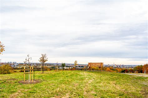 Schéma znázorňujúca vzťah medzi biocentrami, biokoridormi a interakčnými prvkami v rámci ÚSES