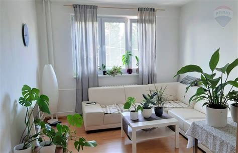 Interiér moderne zariadenej obývacej izby v prenajatom byte