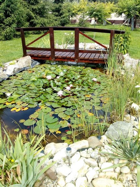 Prierez záhradným jazierkom s vyznačenými zónami