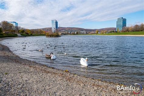 Ilustračný obrázok jazera Kuchajda