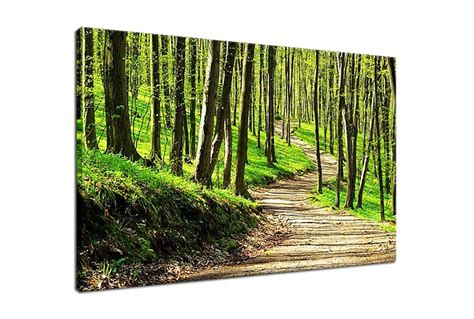 Lesná krajina so stromami