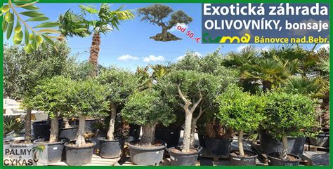 Rôzne tvary a veľkosti hlinených kvetináčov