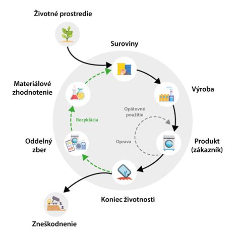Schéma životného cyklu rusa domového s detailom ootéky