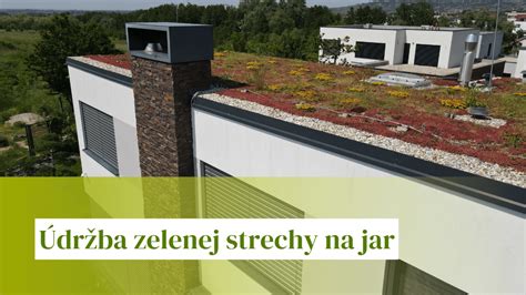 Infografika o benefitoch zelených striech