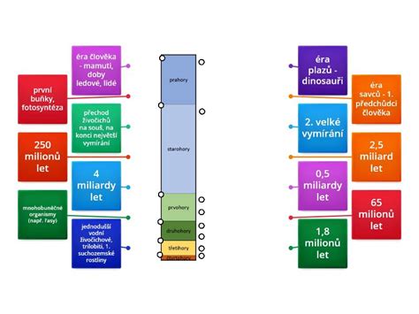 Diagram zobrazujúci vznik BSM, jeho predmety a zákonné výnimky