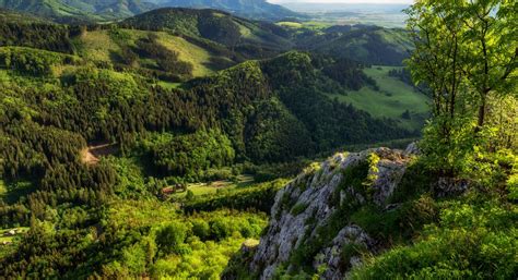 Rozmanitosť rakúskej krajiny s lesmi a poľnohospodárskou pôdou