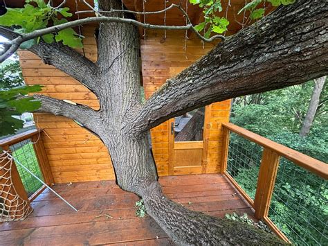 Deti zdobiace interiér domčeka na strome