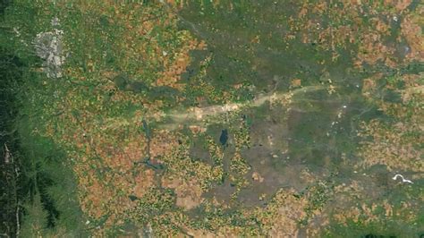 Satelitná snímka oblasti Kráľovej nad Váhom s vyznačenou riekou Váh