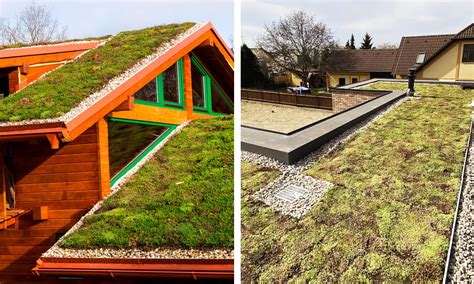 Porovnanie extenzívnej a intenzívnej zelenej strechy