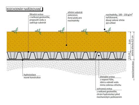 Detail rozchodníkového koberca na extenzívnej zelenej streche