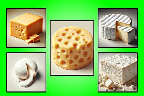 Ilustrácia rôznych druhov syrov