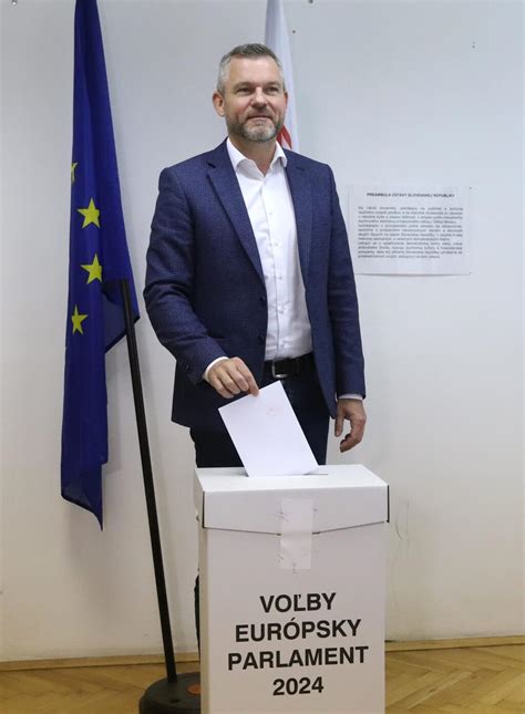 Ilustrácia občana pri volebnej urne s hlasovacím lístkom