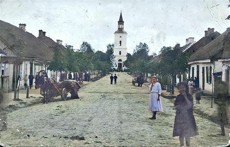 Fotografia záhradkárskej osady s chatkami