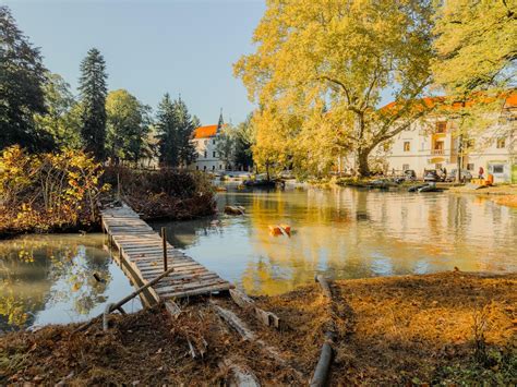 Pohľad na anglický park pri kaštieli