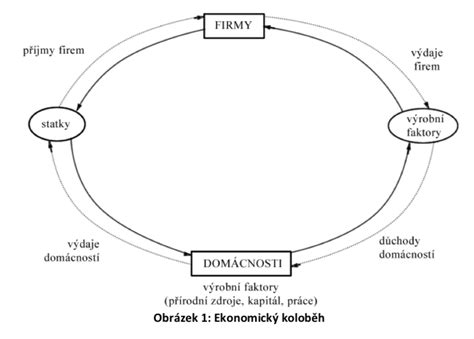Diagram znázorňujúci základný proces oplodnenia