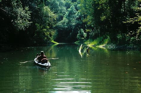Národný park Donau-Auen