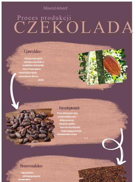 Infografika znázorňujúca povoľovací proces