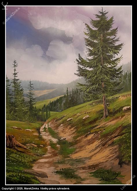 Lesná cesta v horách