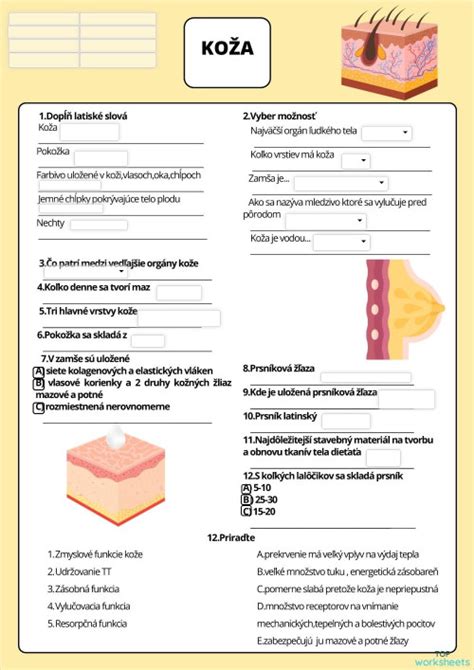 Infografika o rôznych typoch kožných problémov