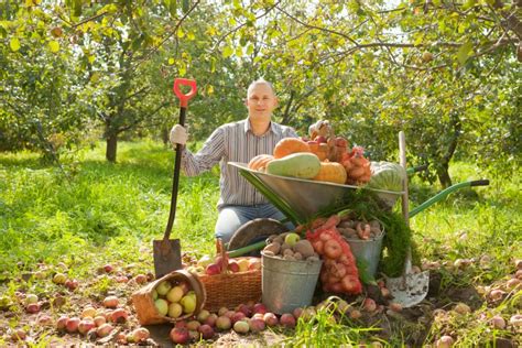 Bylinková záhrada na jeseň