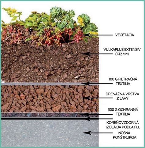 Detail rastlín vhodných pre extenzívne zelené strechy