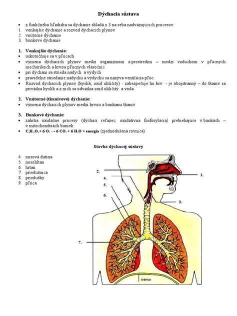 Diagram porovnávajúci vnútorné a vonkajšie systémy odvodnenia