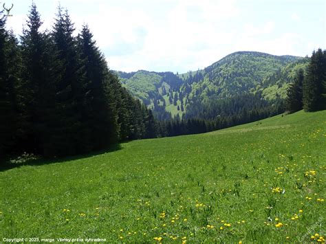 Fotografia rozľahlej lúky s výhľadom na hmlisté údolie