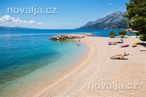 Pohľad na pláž v Brele s borovicovým lesom