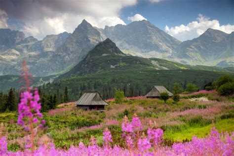 Vysoké Tatry krajina