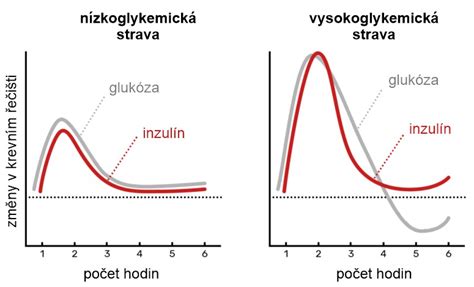 Diagram znázorňujúci amniotómiu