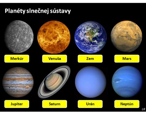 Diagram väznicovej sústavy s popisom