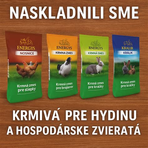 Ilustrácia rôznych druhov krmiva pre škrečky