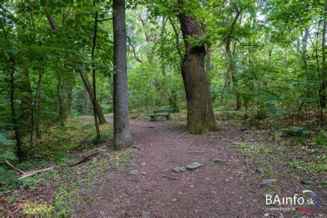 Fotografia Študentského domova Horský park pred rekonštrukciou