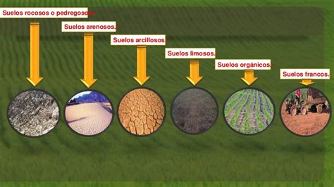 Diagram znázorňujúci hĺbku zamrznutia pôdy a typy základov