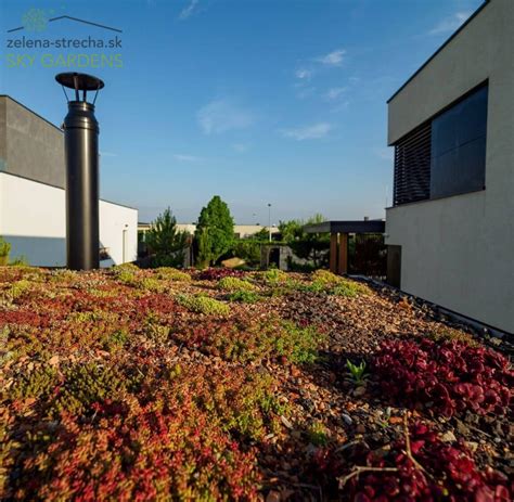 Infografika o prínosoch zelených striech