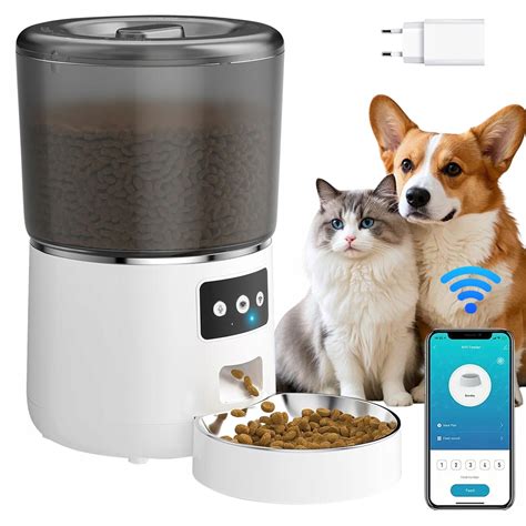 mačka s miskou kvalitného krmiva