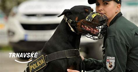 Policajné kotce pre služobných psov