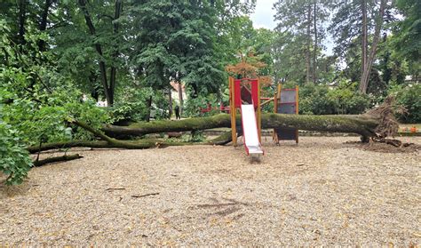 Ilustrácia detí hrajúcich sa na detskom ihrisku v parku