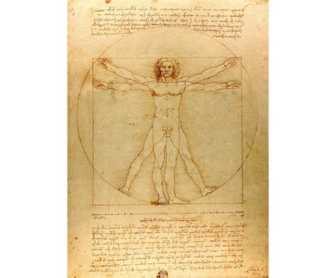 Vitruviánsky muž Leonarda da Vinci s vyznačenými historickými jednotkami