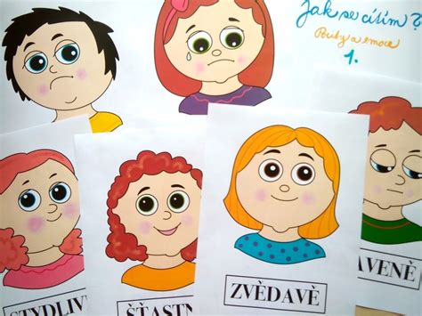 Ilustračná fotografia s rôznymi typmi evidenčných čísel