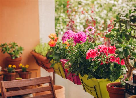 Farebný balkón plný kvitnúcich letničiek na priamom slnku