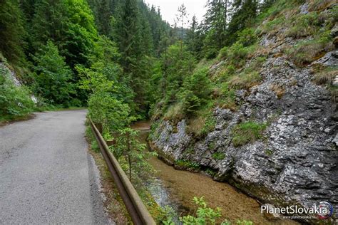 Cesta vedúca cez obec