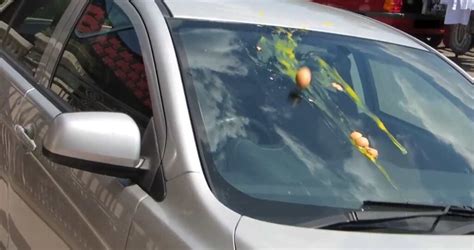 nálepka na čelnom skle auta