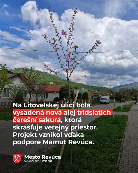 Ilustrácia znázorňujúca rastlinu, ktorá pomaly rastie, ale nakoniec prináša kvety