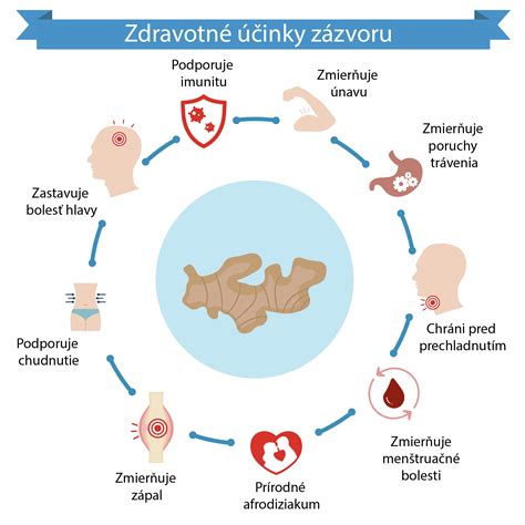Vysvetlenie rannej nevoľnosti