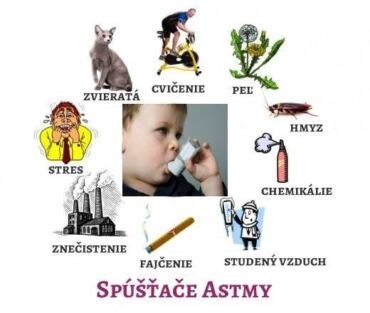 Schéma znázorňujúca rôzne spúšťače astmy