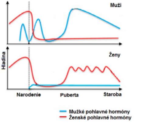 Grafické znázornenie hormonálnych zmien počas perimenopauzy