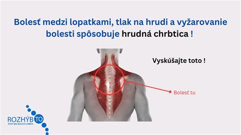 Diagram znázorňujúci hrudnú chrbticu a jej spojenie s hrudným košom.