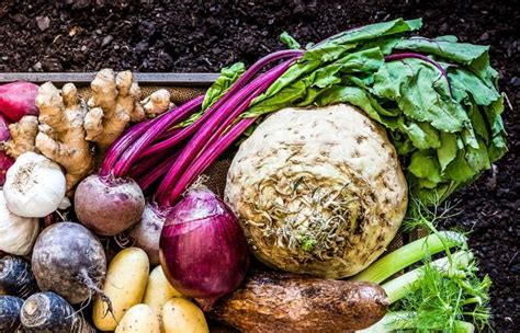 Poškodená koreňová zelenina s dierami od medvedíka